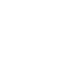 icon1